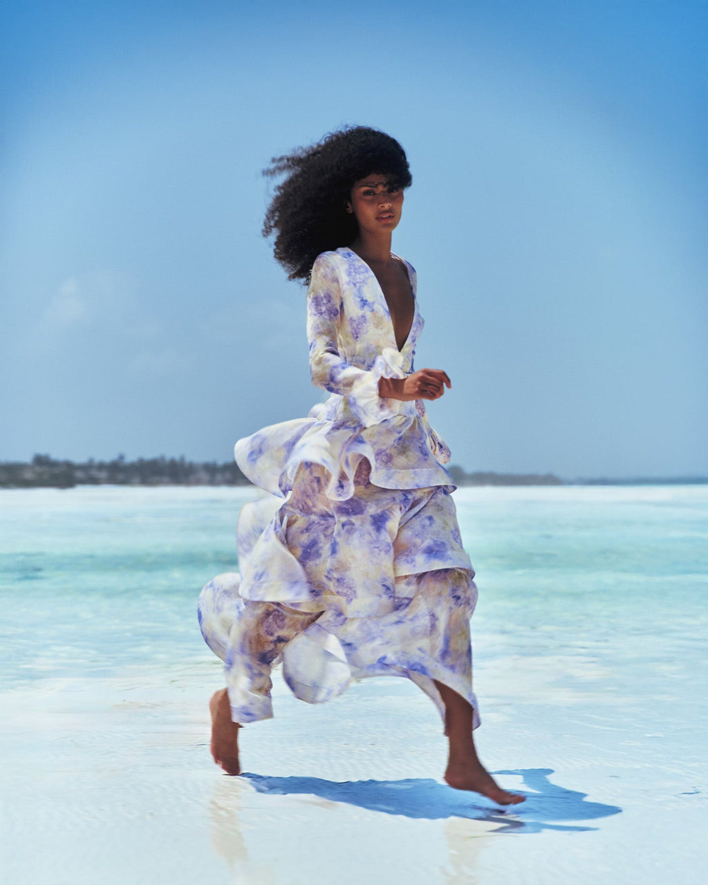 Anemone maxi