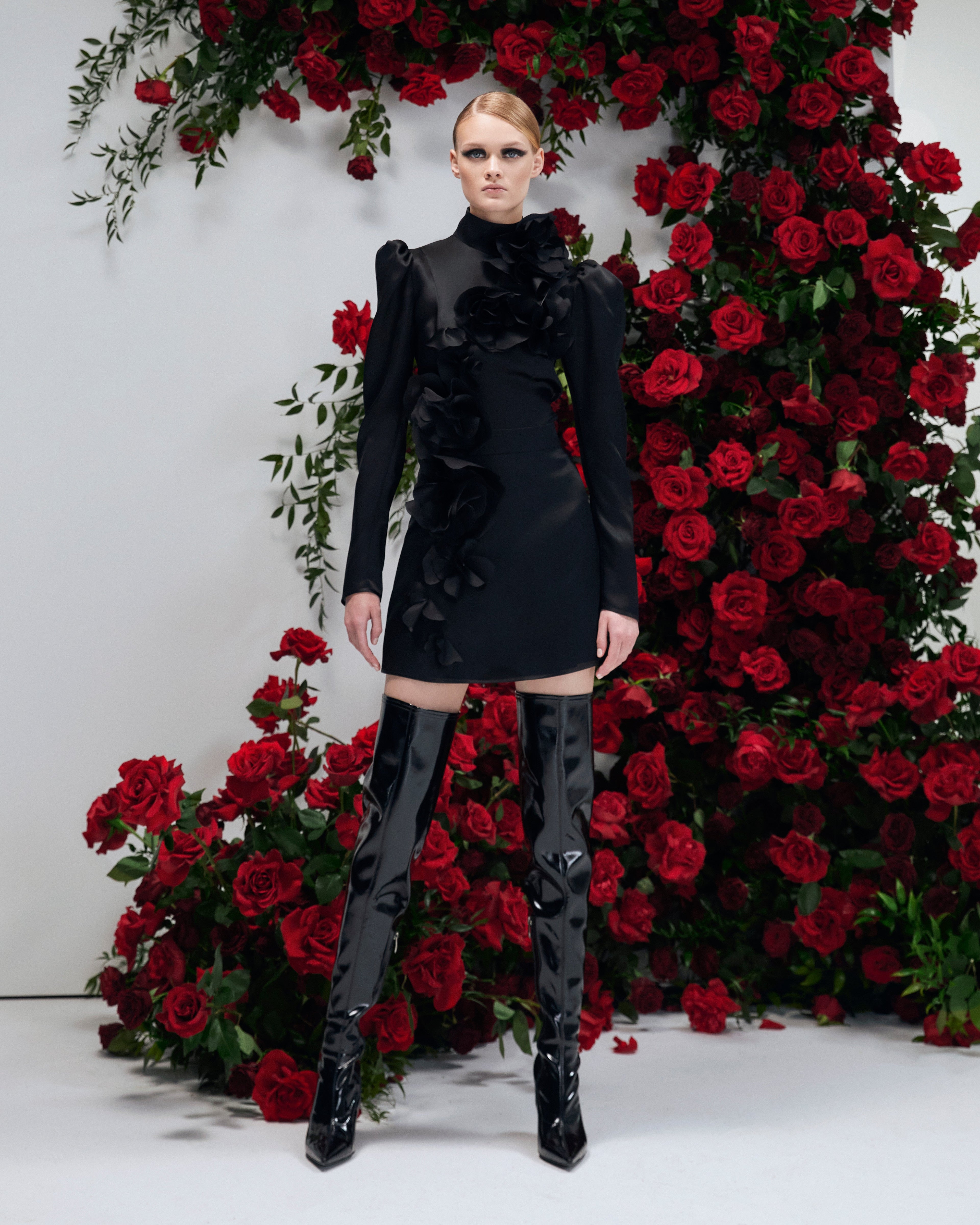 Gypsophila NOIR