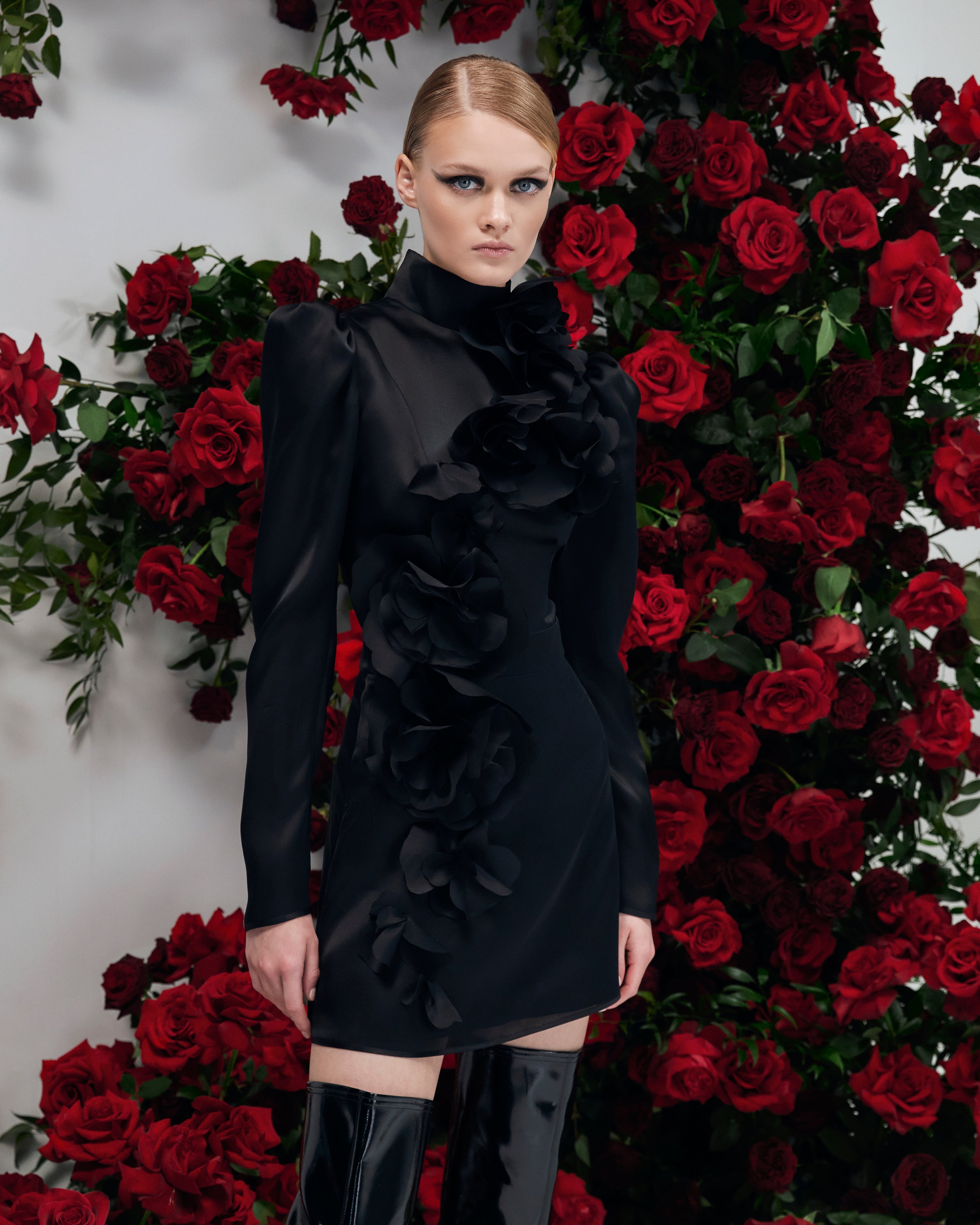 Gypsophila NOIR