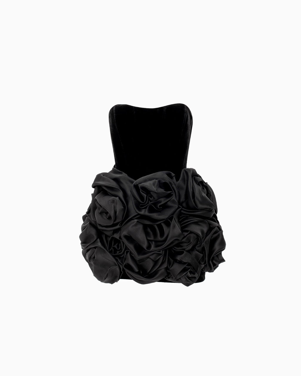 Zinnia Noir