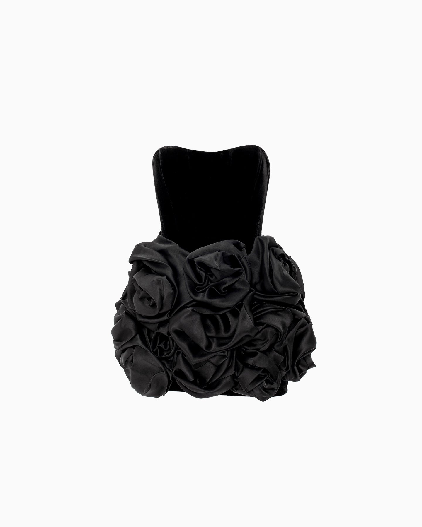 Zinnia Noir